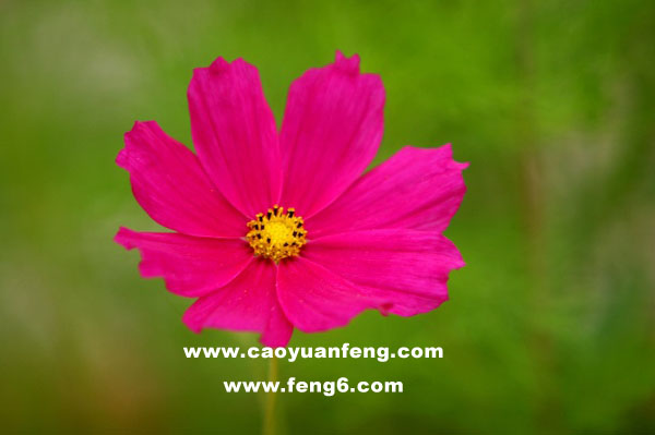 8月丰宁坝上最新风景图片（多图）坝上草原几月份最好