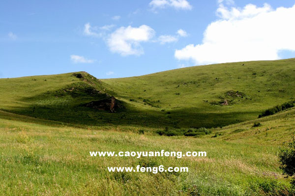 8月丰宁坝上风景