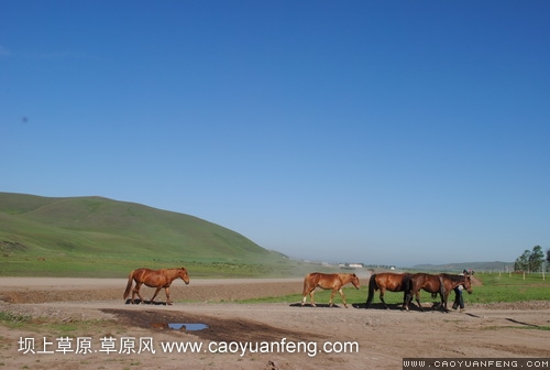 现代车友会 坝上旅游第二天