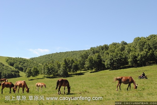 现代车友会 坝上旅游第二天