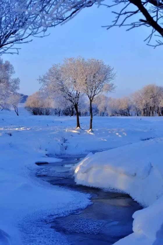 坝上冬天美景