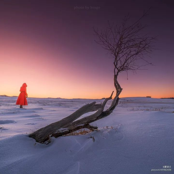 坝上雪域星空冬日摄影