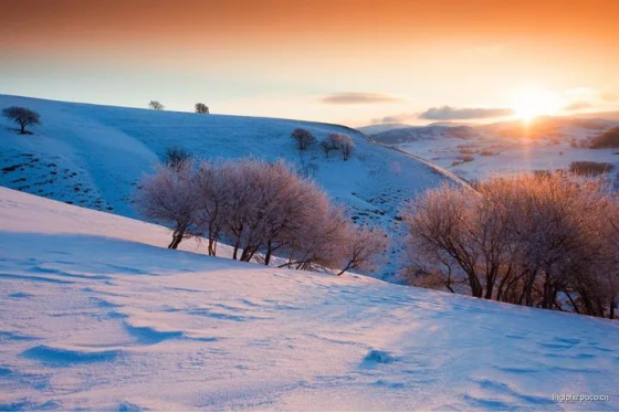 坝上雪域星空冬日摄影