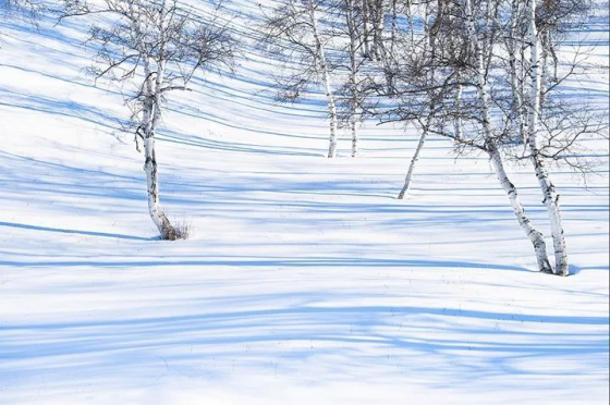 坝上雪域星空冬日摄影