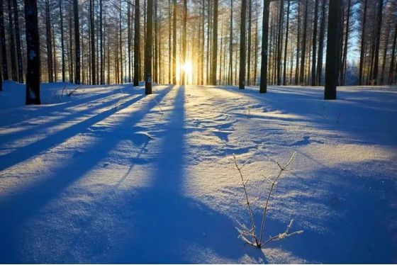 坝上雪域星空冬日摄影