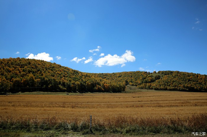 坝上草原寻找秋天美景