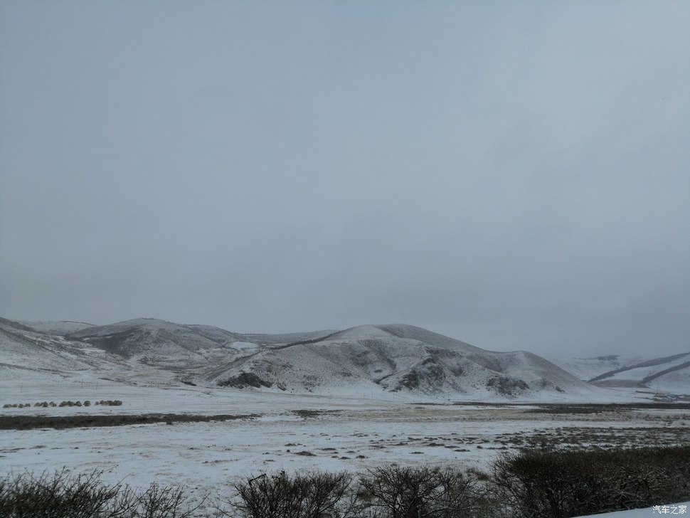 大通D90坝上越野 大滩赏雪景