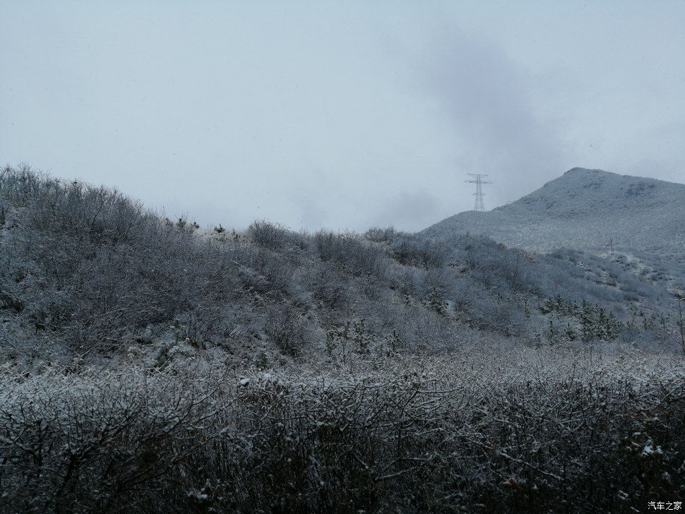 大通D90坝上越野 大滩赏雪景