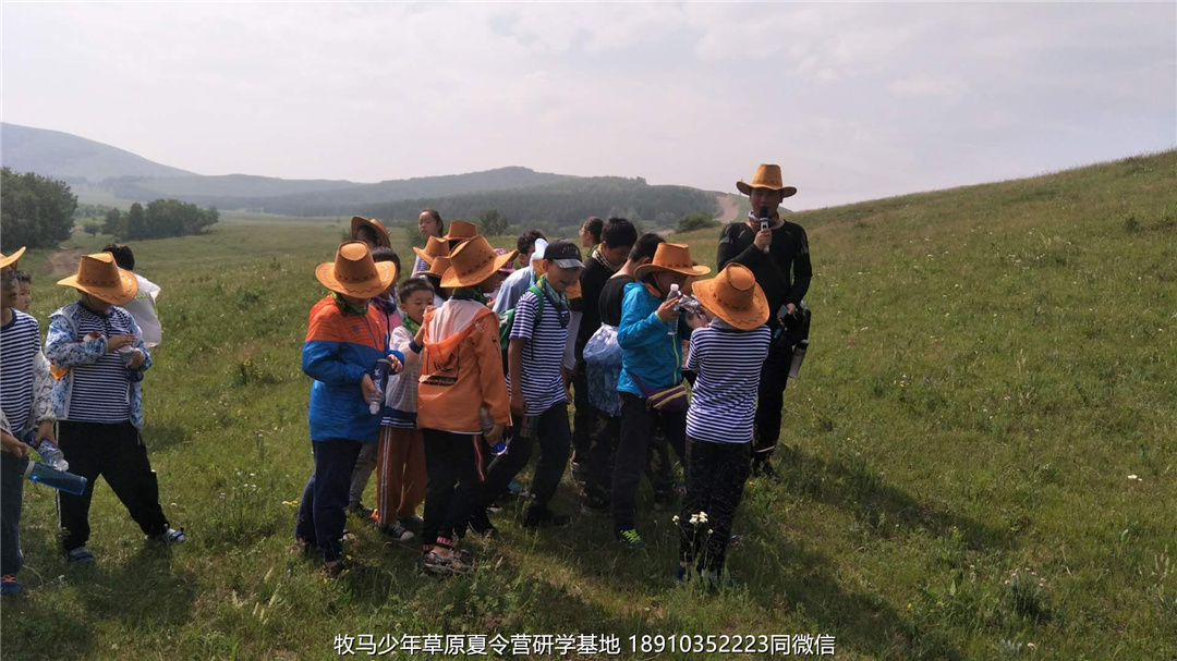 河南郑州草原小安达研学夏令营