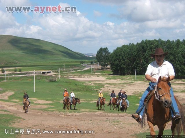 搜狐安阳车友会7月丰宁坝上草原行