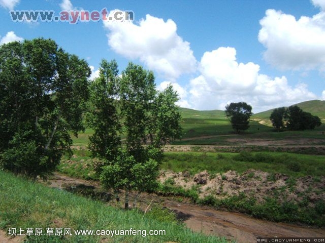 搜狐安阳车友会7月丰宁坝上草原行