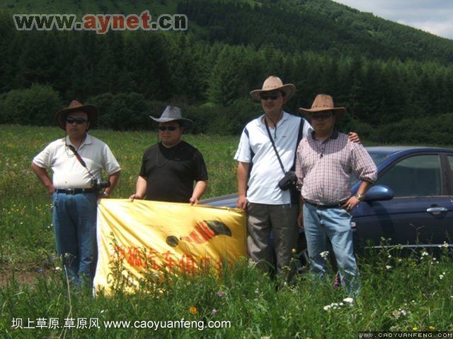 搜狐安阳车友会7月丰宁坝上草原行