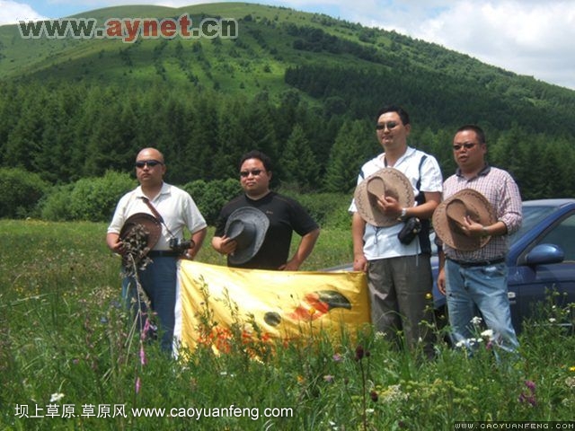 搜狐安阳车友会7月丰宁坝上草原行