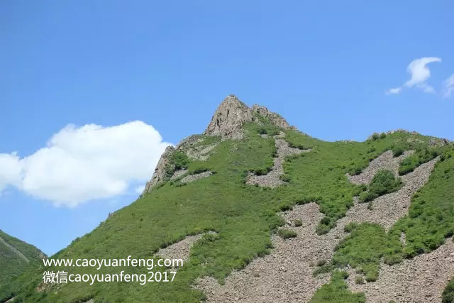 新东方百学汇第一期坝上草原夏令营