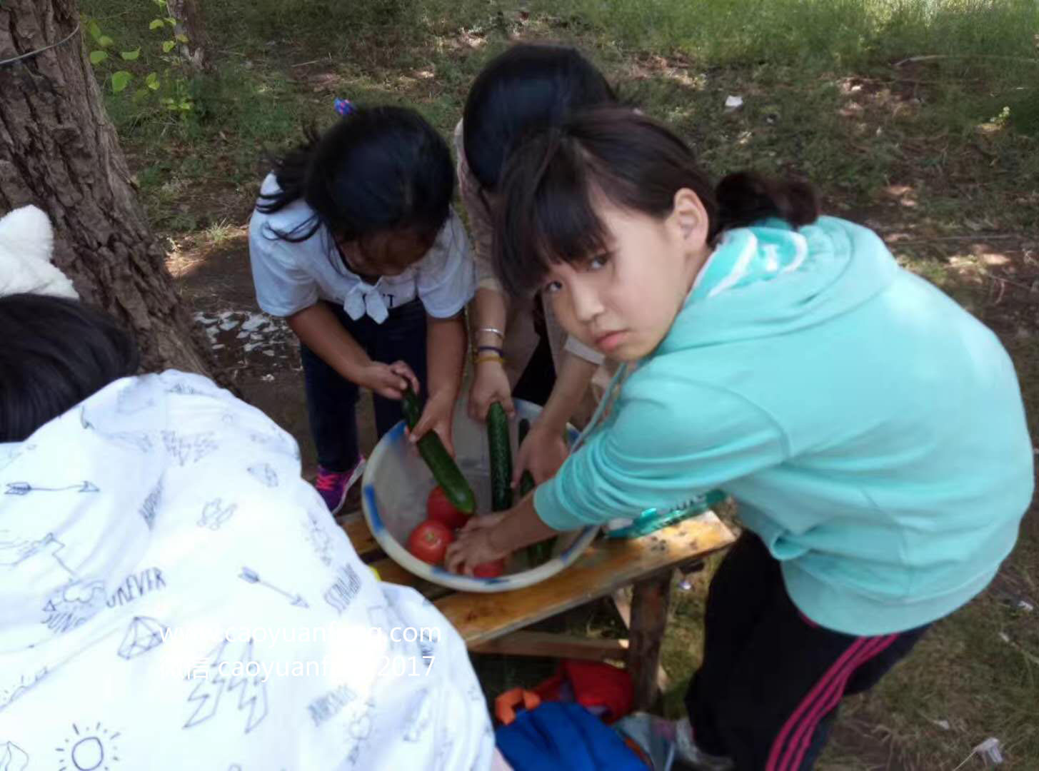 伯文教育五天四晚草原夏令营