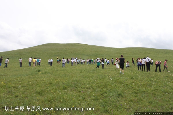 长城汽车丰宁坝上旅游