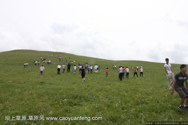 长城汽车丰宁坝上旅游