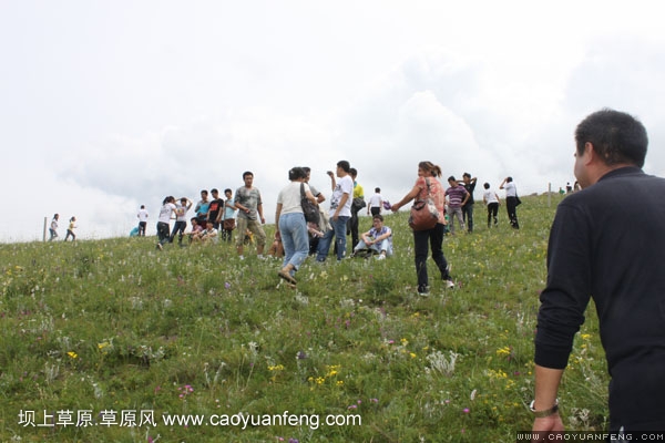 长城汽车丰宁坝上旅游