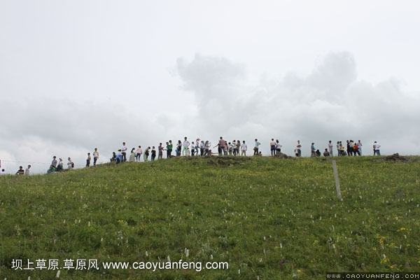 长城汽车丰宁坝上旅游