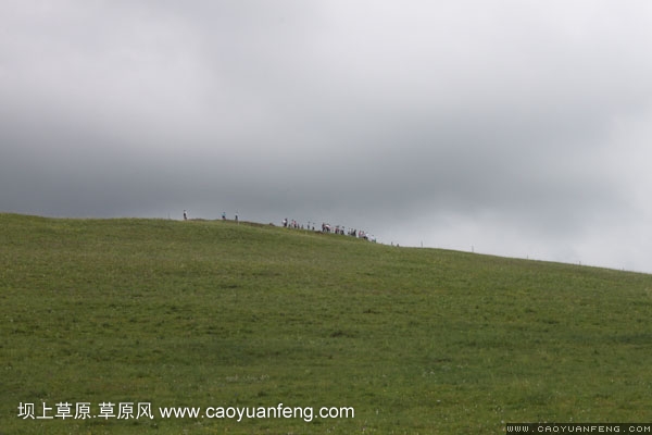 长城汽车丰宁坝上旅游