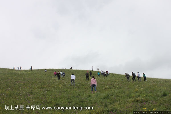 长城汽车丰宁坝上旅游