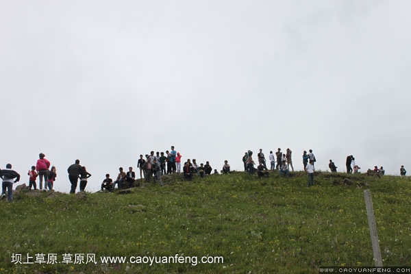 长城汽车丰宁坝上旅游