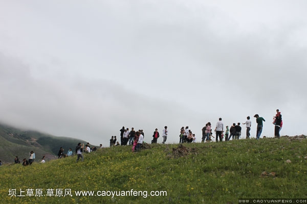 长城汽车丰宁坝上旅游