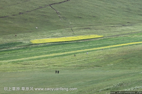 长城汽车丰宁坝上旅游