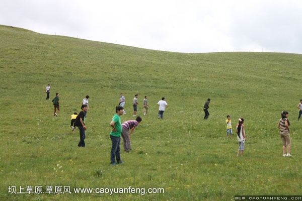 长城汽车丰宁坝上旅游