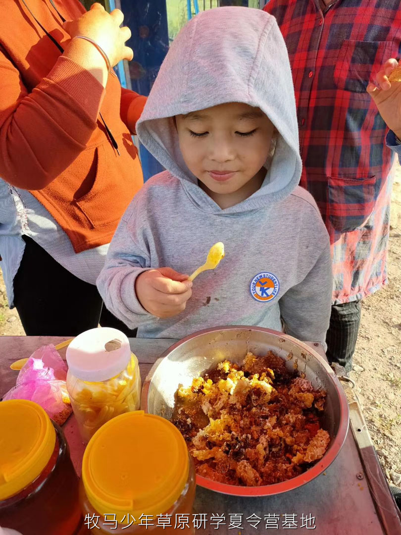 唐山蠢鱼亲子书屋草原夏令营