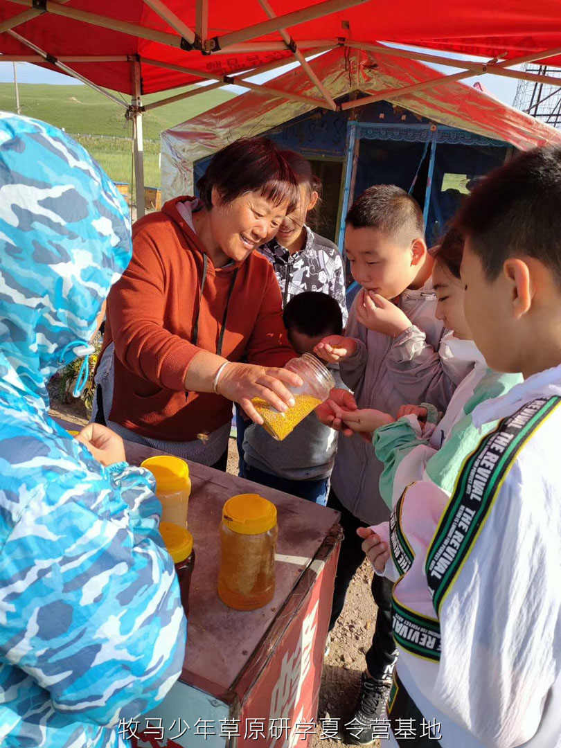 唐山蠢鱼亲子书屋草原夏令营