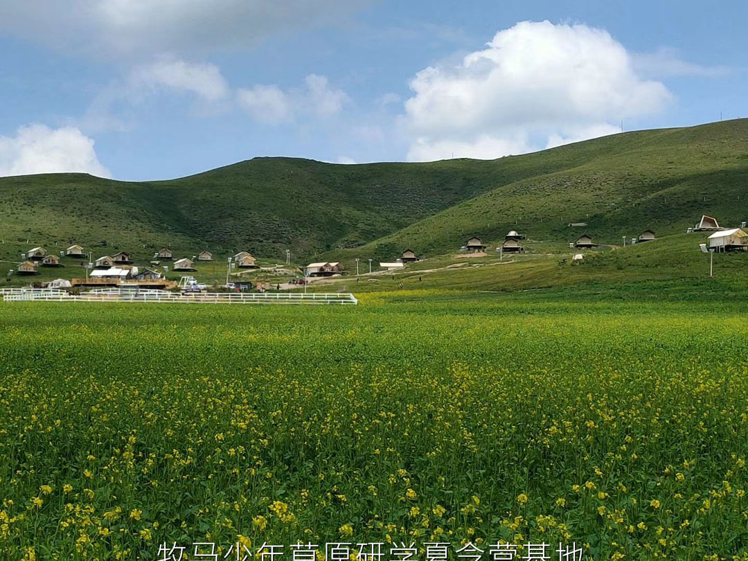 唐山蠢鱼亲子书屋草原夏令营