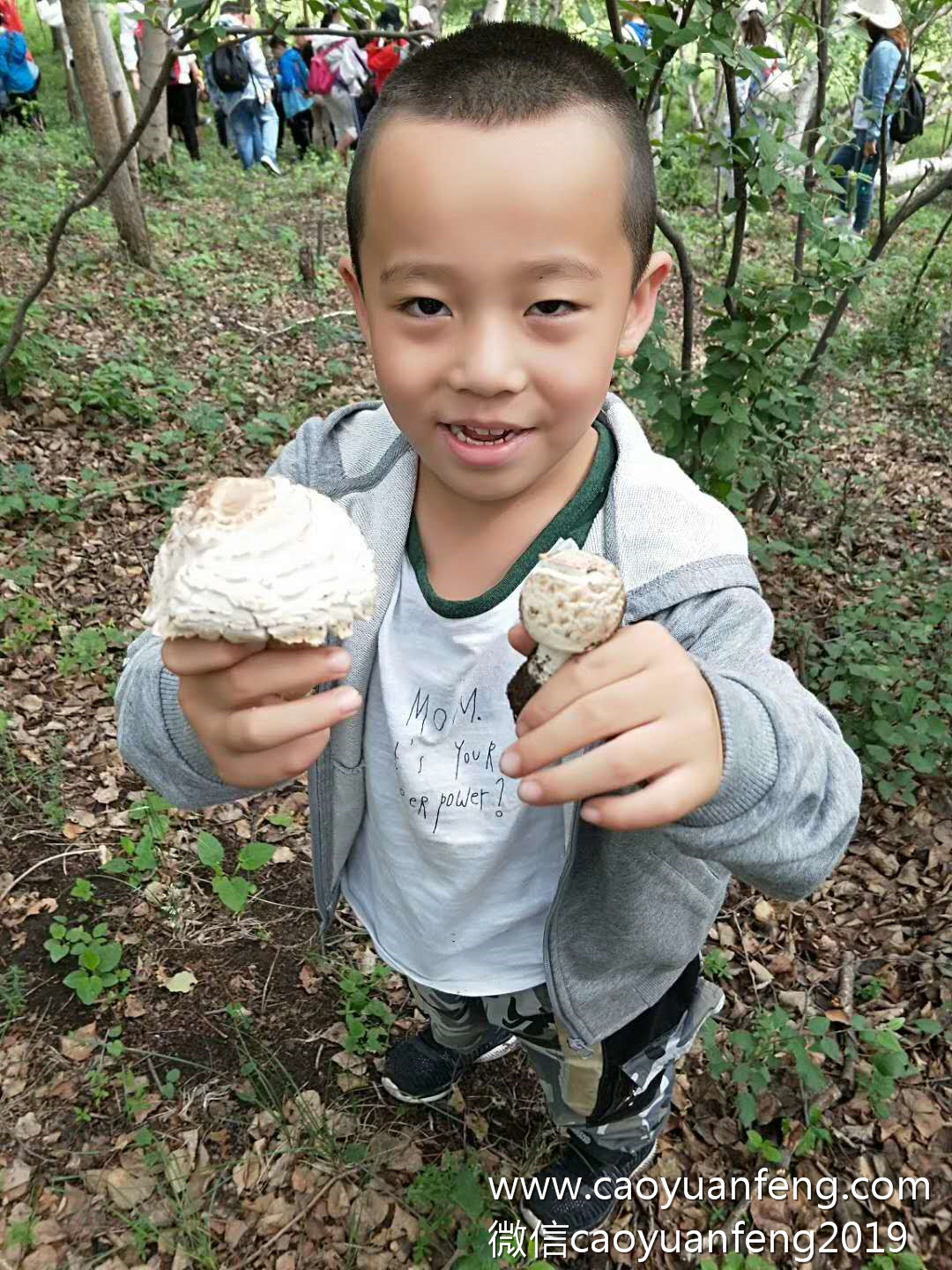 蠢鱼亲子书屋草原夏令营