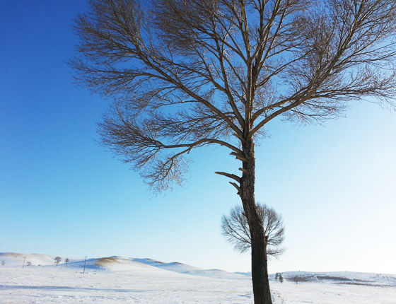 坝上冬季雪中航拍