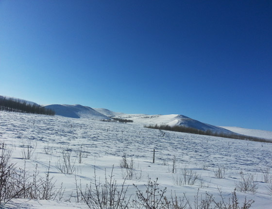 丰宁坝上草原雪景篇