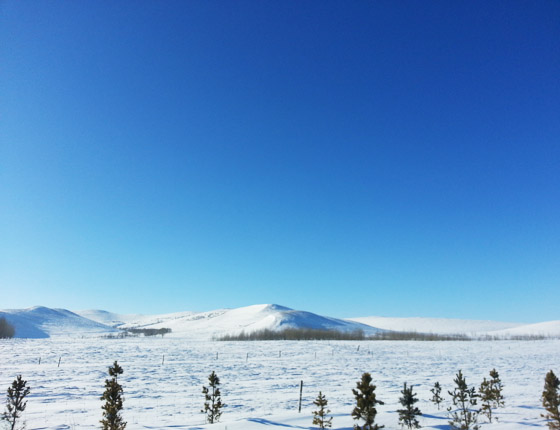 丰宁坝上草原雪景篇