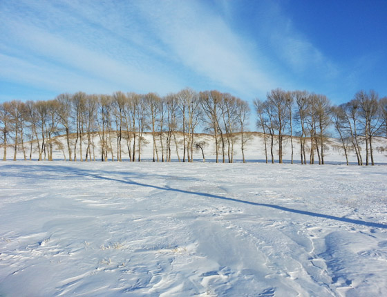 丰宁坝上草原雪景篇