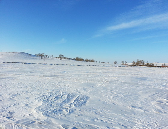 丰宁坝上草原雪景篇