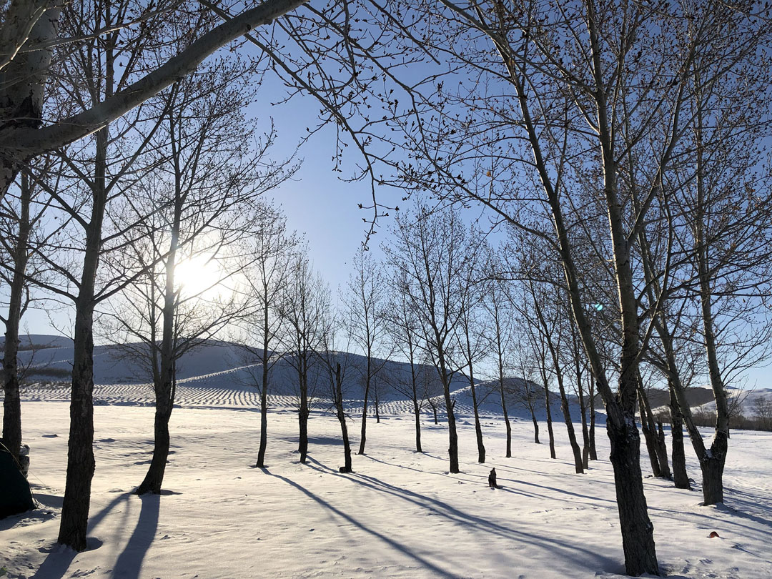 坝上冬季野外雪地扎营