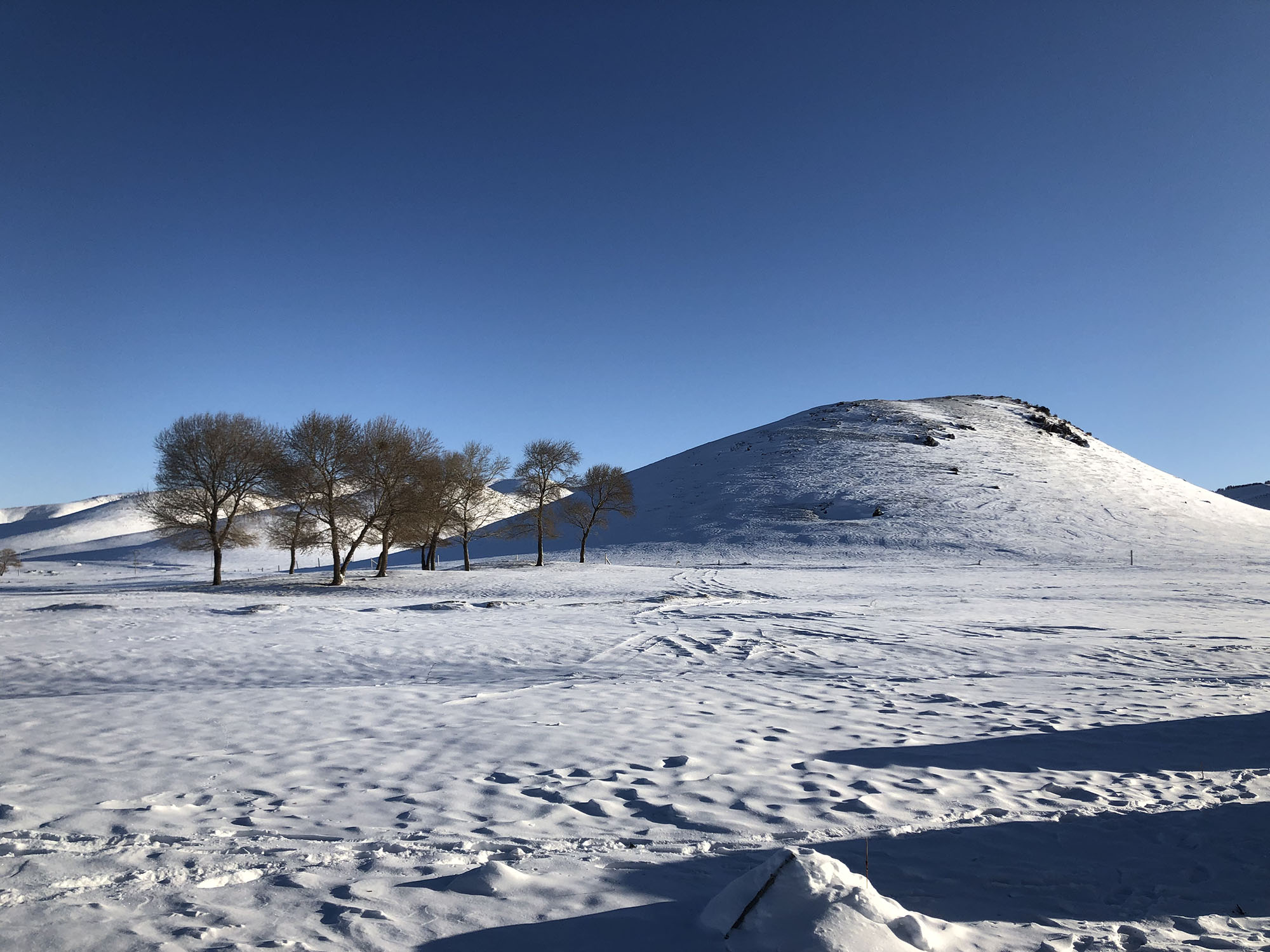 坝上冬季野外雪地扎营