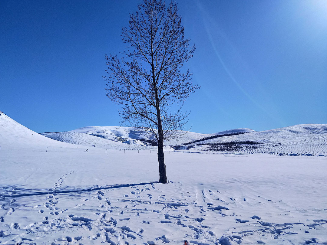 坝上冬季野外雪地扎营