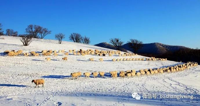 坝上冬季美景