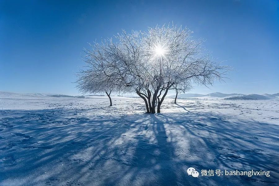 坝上冬季美景