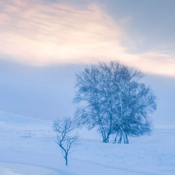 冬季坝上摄影美景