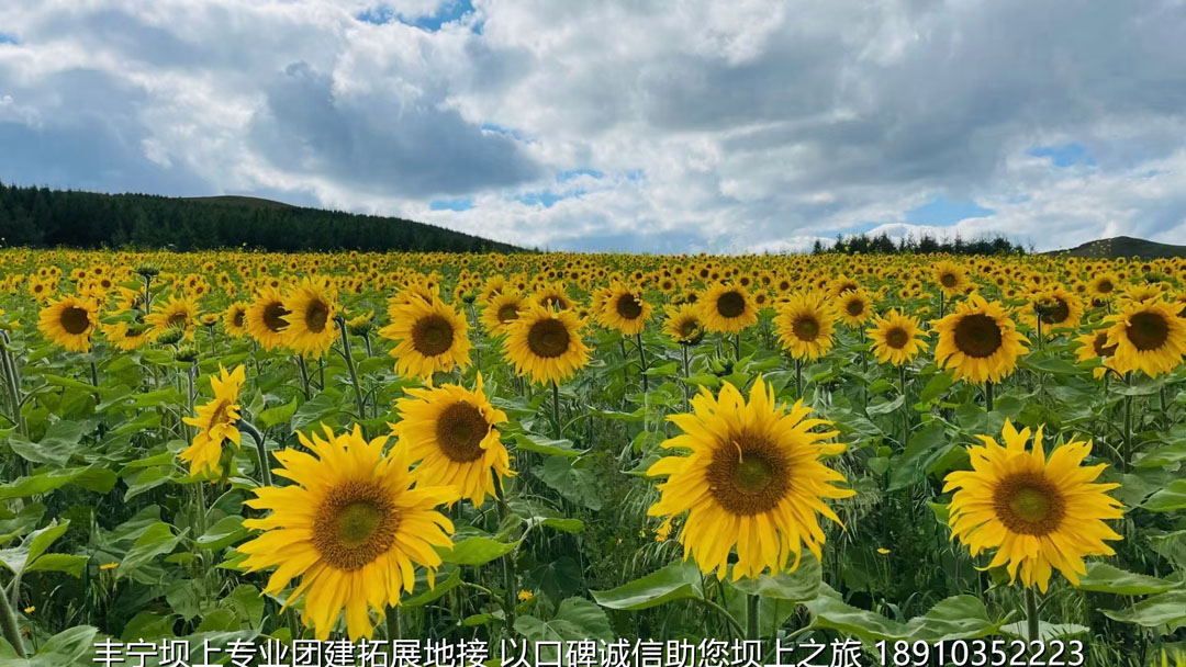 永丰二锅头丰宁坝上团建2日游