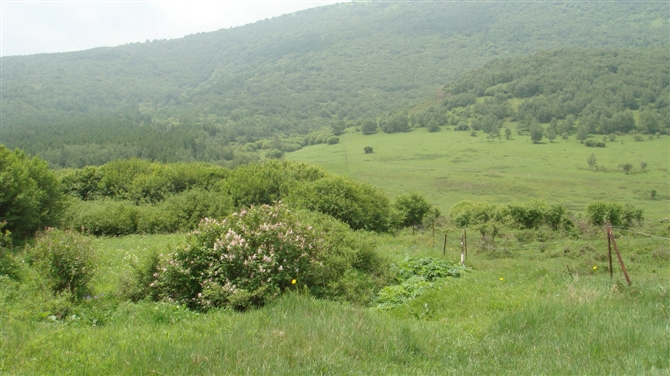 6月26日坝上风景照片