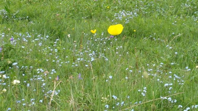 6月26日坝上风景照片