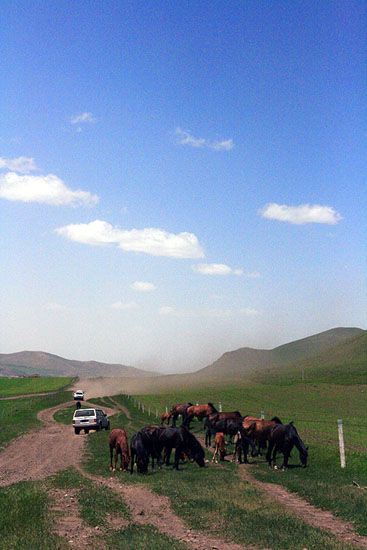 丰宁坝上景点图片