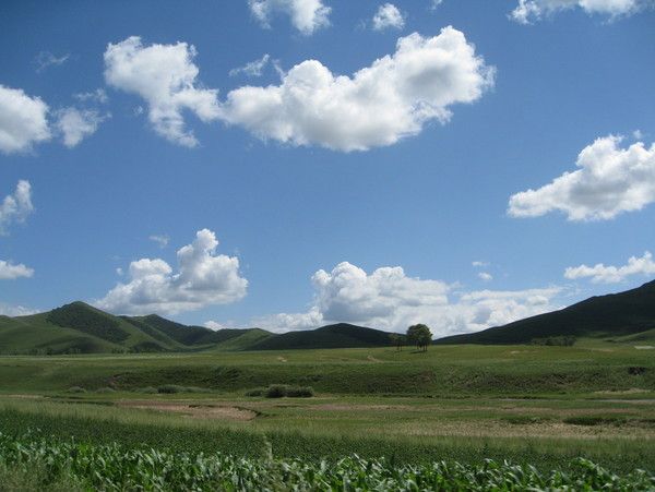 我们的旅行-丰宁坝上