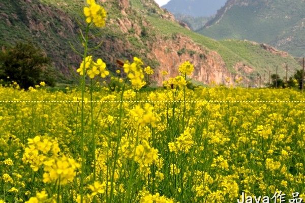 丰宁坝上旅游攻略图片